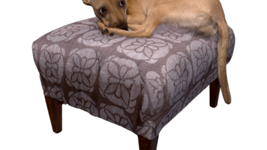 Miss Lucy, aka "Scoots"