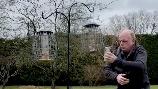 Bird feeder