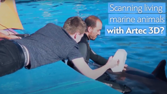 Scanning live marine animals with Artec Eva