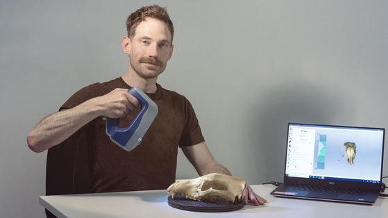 Using Artec Space Spider to discover the true evolutionary path of the extinct thylacine