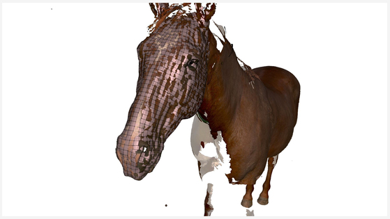 Horse scanning
