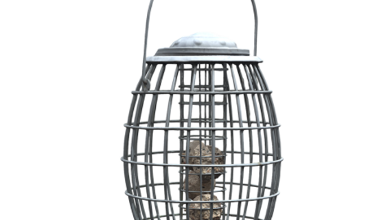 Bird feeder