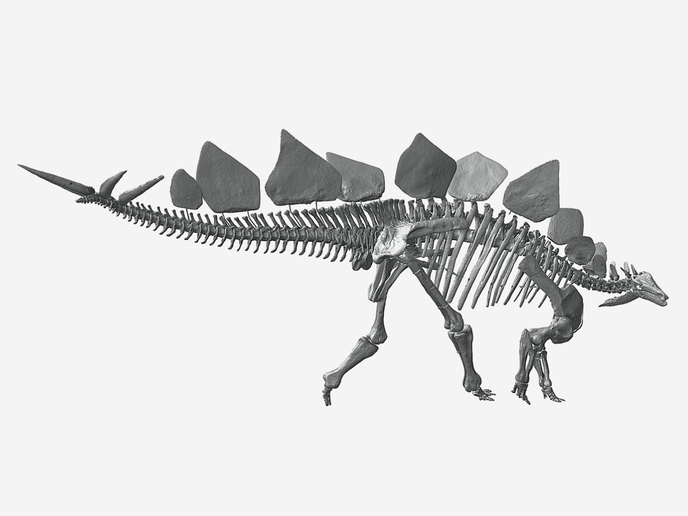 Heritage preservation